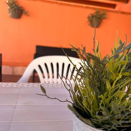 Casa Vacanze Filippa Balestrate Exterior foto